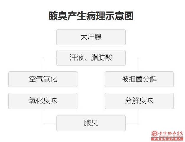 大连狐臭诊疗需要注意什么