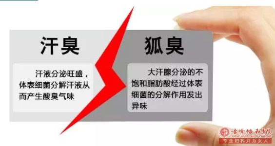 大连宁城县腋臭和汗臭的症状区别?