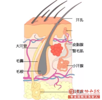 大连敖汉旗患上腋臭的病因有什么因素