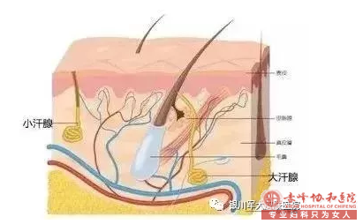 大连松山区腋臭微创手术多少钱